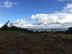 Terreno para Venda em Morro Reuter - 5