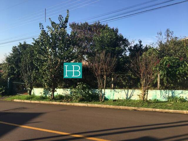 #187 - Casa para Venda em Morro Reuter - RS