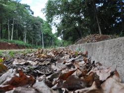 Terreno para Venda em Morro Reuter - 4