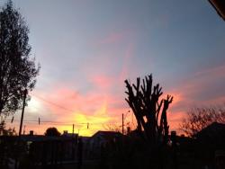 Casa para Venda em Xangri-lá - 5