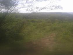 Fazenda para Venda em Caçapava do Sul - 5