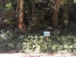 #212 - Terreno para Venda em Morro Reuter - RS - 1