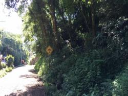 Área para Venda em Morro Reuter - 3