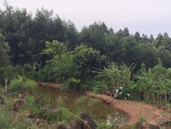 Área para Venda em Morro Reuter - 5