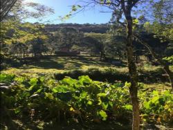 #216 - Chácara para Venda em Morro Reuter - RS - 2