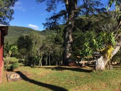 #216 - Chácara para Venda em Morro Reuter - RS - 3