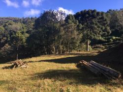 Chácara para Venda em Morro Reuter - 5