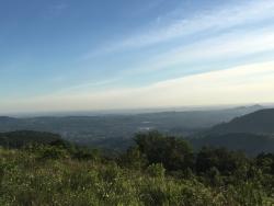 #36 - Chácara para Venda em Morro Reuter - RS - 3