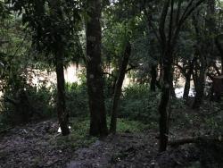 #38 - Casa para Venda em Dois Irmãos - RS - 1
