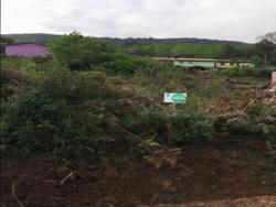 #8 - Terreno para Venda em Santa Maria do Herval - RS