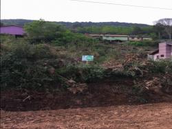 #8 - Terreno para Venda em Santa Maria do Herval - RS - 2