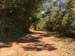 Chácara para Venda em Morro Reuter - 3