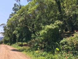 Chácara para Venda em Morro Reuter - 4