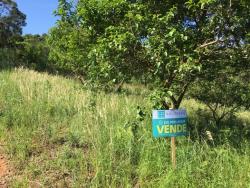 #50 - Área para Venda em Morro Reuter - RS