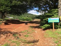 #61 - Terreno para Venda em Morro Reuter - RS