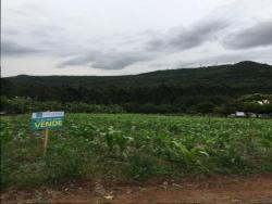 #70 - Área para Venda em Morro Reuter - RS