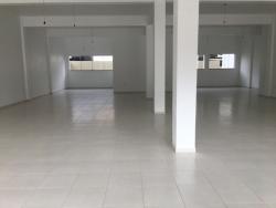 Sala para Locação em Morro Reuter - 4