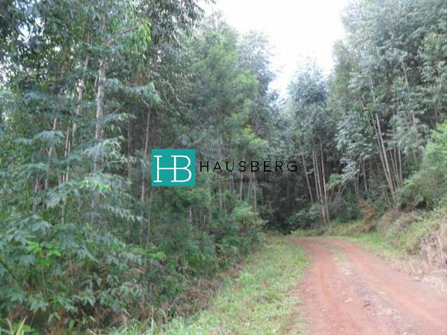 #78 - Área para Venda em Morro Reuter - RS - 1