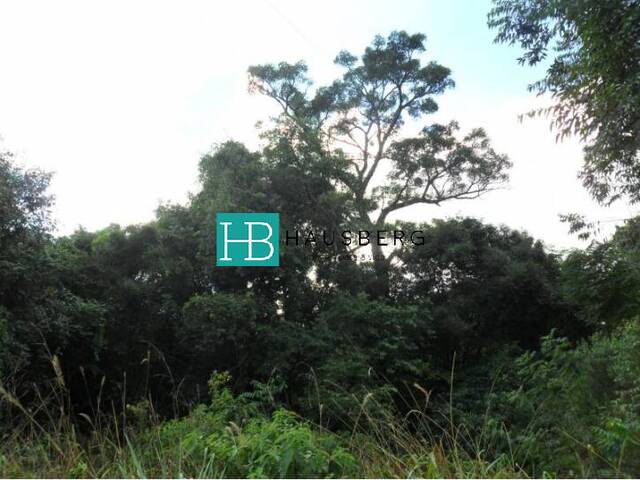#78 - Área para Venda em Morro Reuter - RS - 2