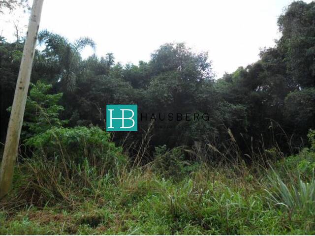 #78 - Área para Venda em Morro Reuter - RS - 3